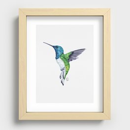 Graceful Tri-Color Hummingbird Recessed Framed Print