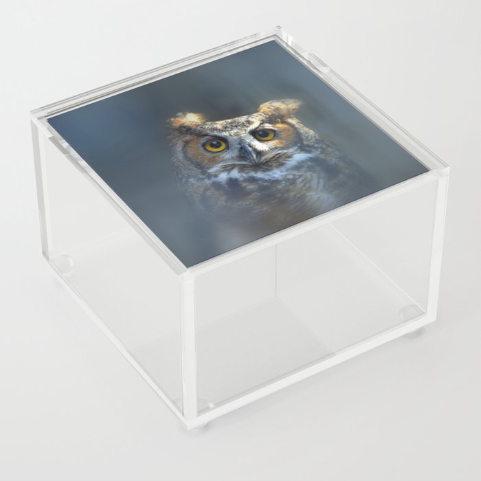 Great Horned Owl Acrylic Box