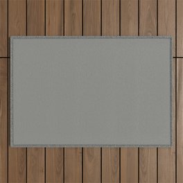 Midtone Iron Gray - Gray Solid Color Pairs PPG Downpour PPG1010-5 - All Color - Single Shade Outdoor Rug
