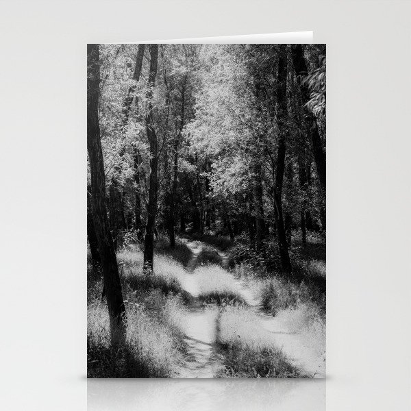 The Road Not Taken; forest road shadow landscape black and white photograph - photography - nature photographs Stationery Cards