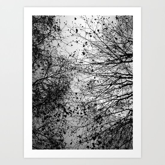 Branches & Leaves Art Print