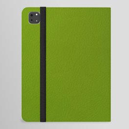 24  Green Gradient Background 220713 Minimalist Art Valourine Digital Design iPad Folio Case