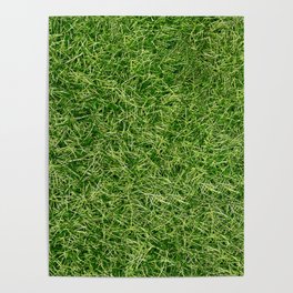Grass Textures Turf Poster