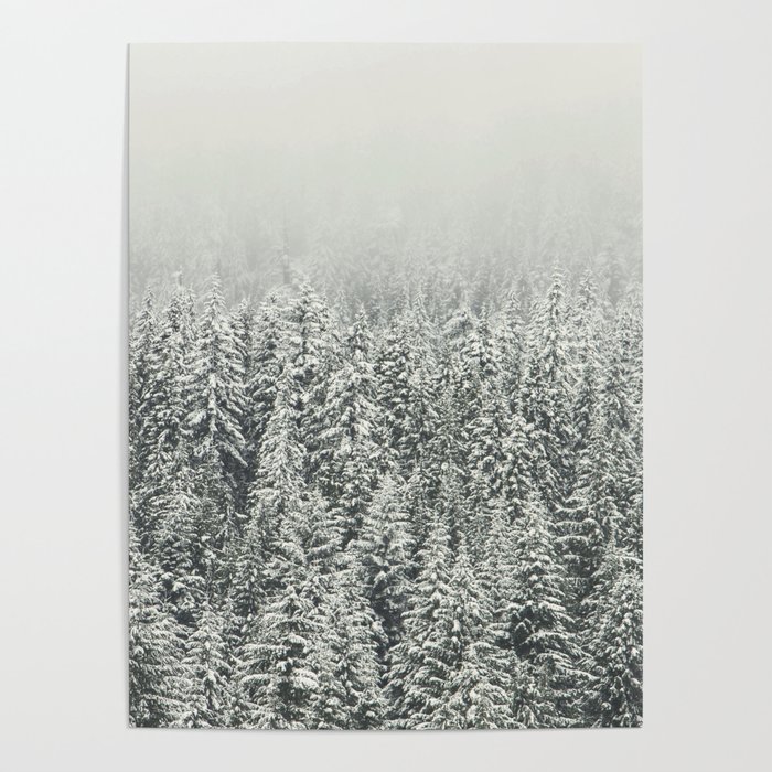 Snow Forest Poster