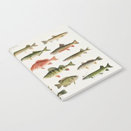 Illustrated North America Game Fish Identification Chart Notebook