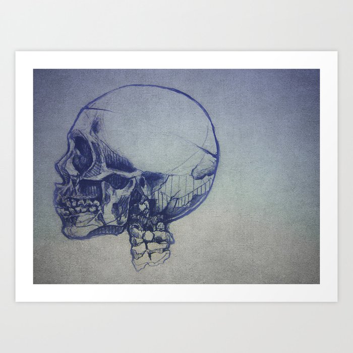 Skull Study Art Print
