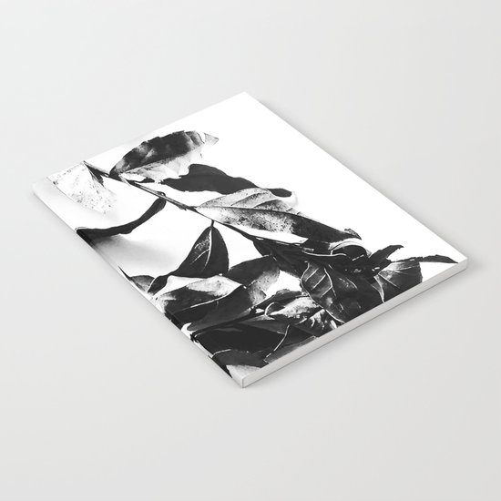 Bay leaves 4 Notebook