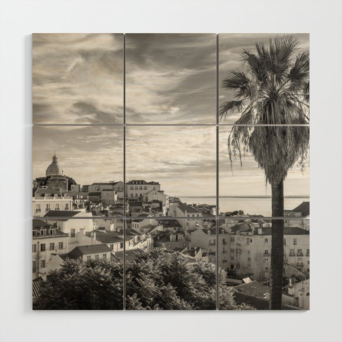 Palmtree in Alfama lIsbon Portugal - view in Black and white - travel photography Wood Wall Art