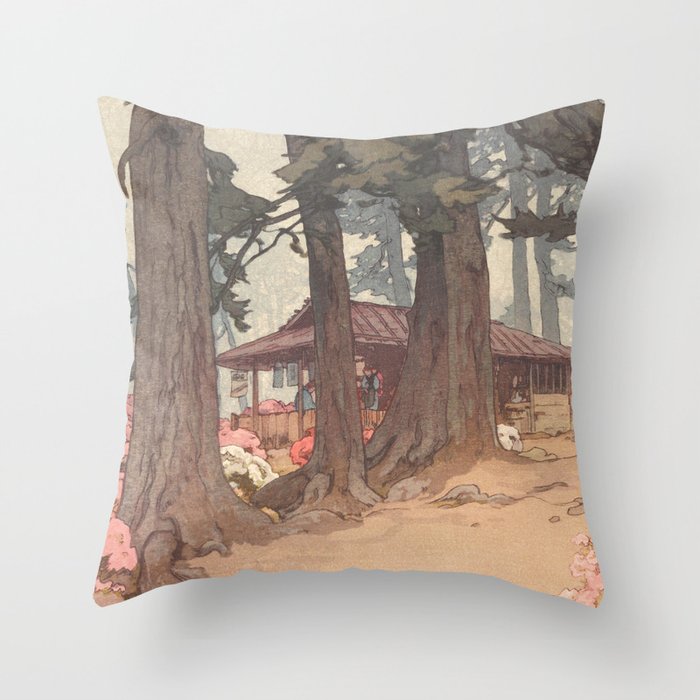 Throw Pillow