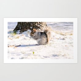 Digital Illustration of Cute Squirrel in the Snow in Montreal, QC, Canada Art Print