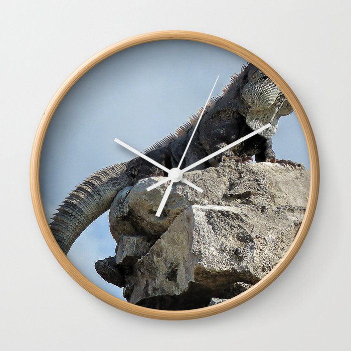 Mexico Photography - Majestic Iguana Standing On Rocks Wall Clock