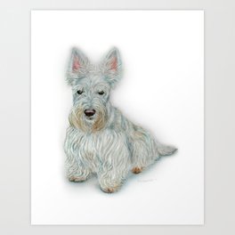Wheaten Scottish Terrier Art Print