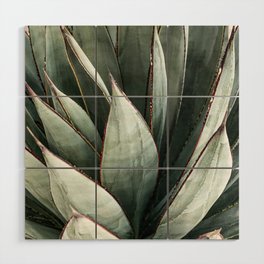 Cactus Leaves // Green Southwest Home Decor Vibes Desert Hombre Plant Photograph Wood Wall Art