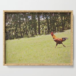 The great escape of a chicken | Animals running | Farm Photography Serving Tray