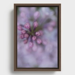 Lilacs Framed Canvas