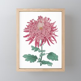 Chrysanthemum Flower Artwork - 010 Framed Mini Art Print