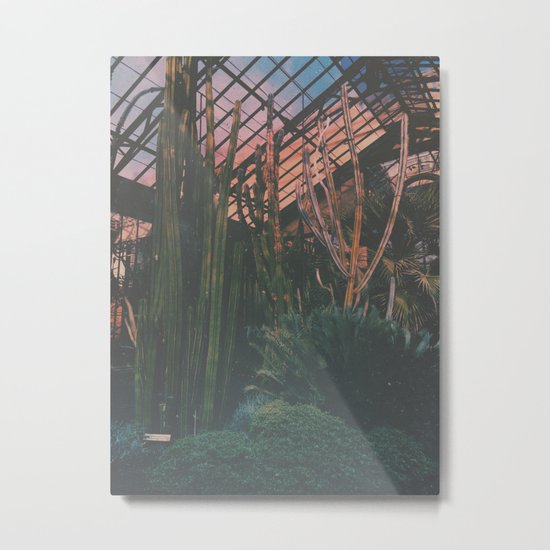 Cactus Life Metal Print