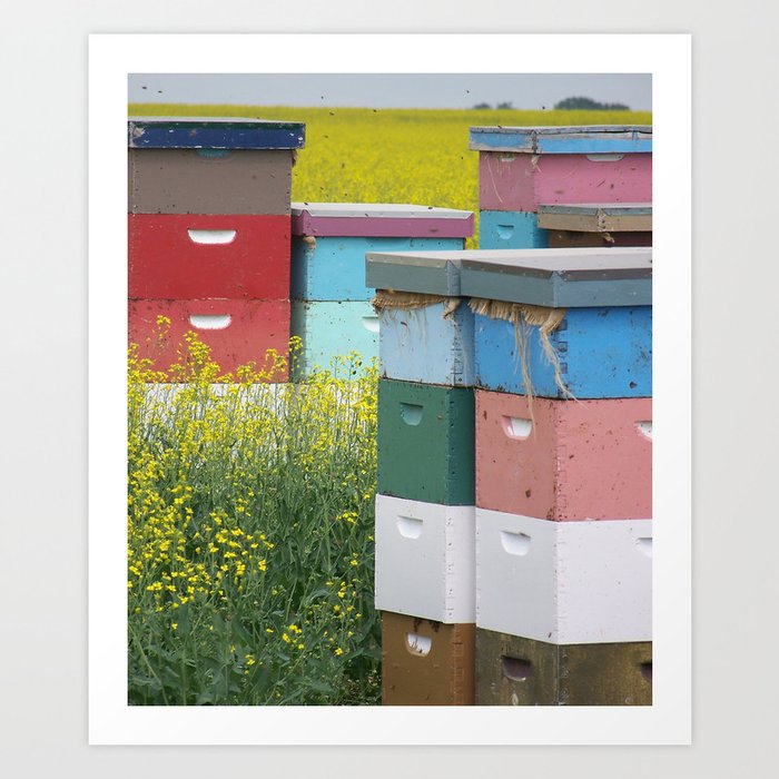 Prairie Beehives Art Print