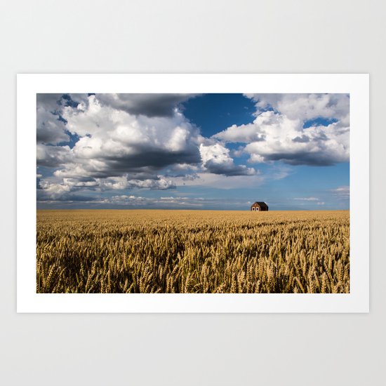 Fields of Gold Art Print