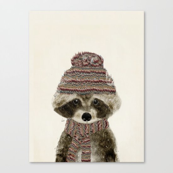 little indy raccoon Canvas Print