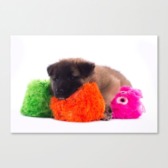 Puppy with colored toys Canvas Print
