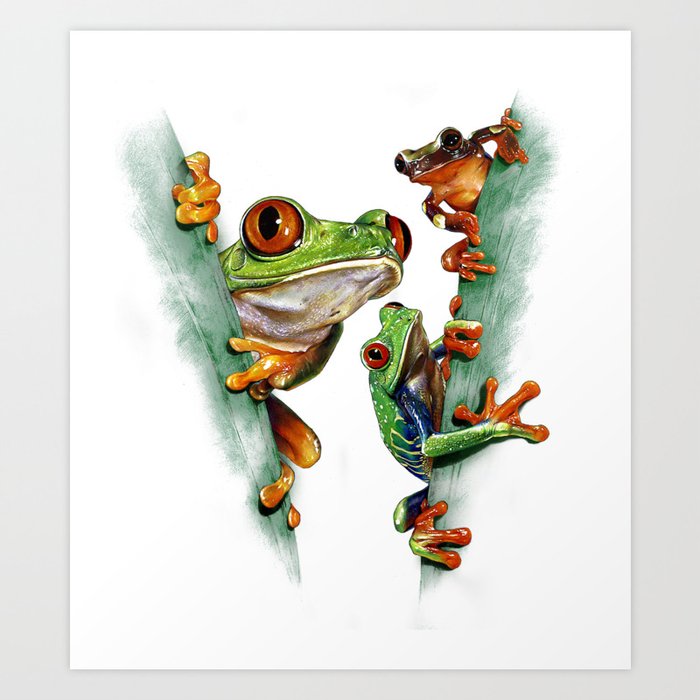 Tree Frogs Art Print