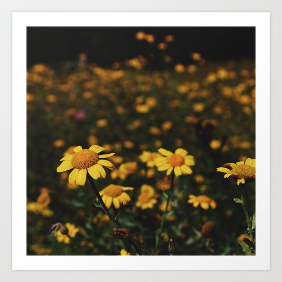 Field of flowers Art Print