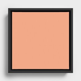 Sunset Peach Framed Canvas