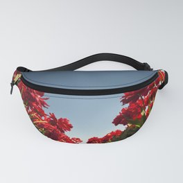 Tulips from Holland | red flowers Netherlands nature photography | colorful Art Print Fanny Pack