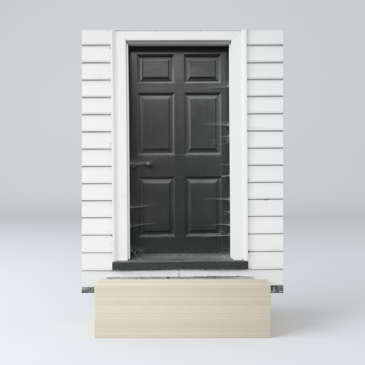 Door With Cobwebs In Black And White Mini Art Print By Brookeryanphotography Society6
