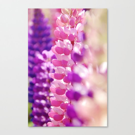 Pink & Lavender FlowerS Canvas Print