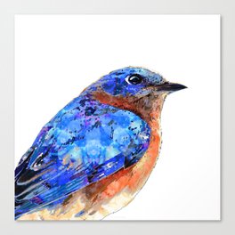 Little Bluebird Art Blue Bird Artwork Canvas Print