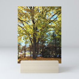 Fall 2021 Mini Art Print