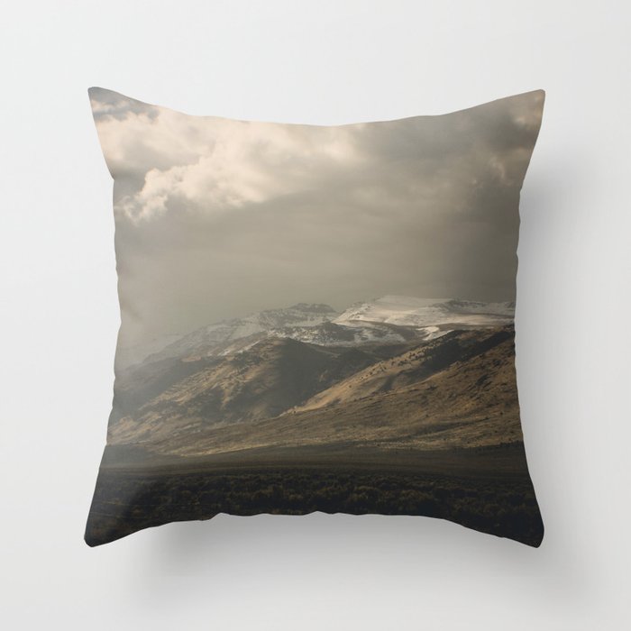 Out the Car Window Throw Pillow