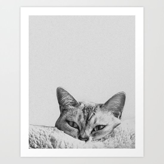 Minimalist grey cat Art Print