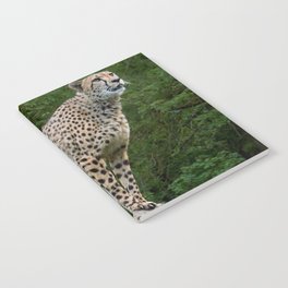 South Africa Photography - Majestic Cheetah Standing On A Log Notebook