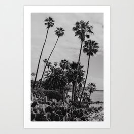 Laguna Beach Palm Trees Black&White | Fine Art Travel Photography Art Print