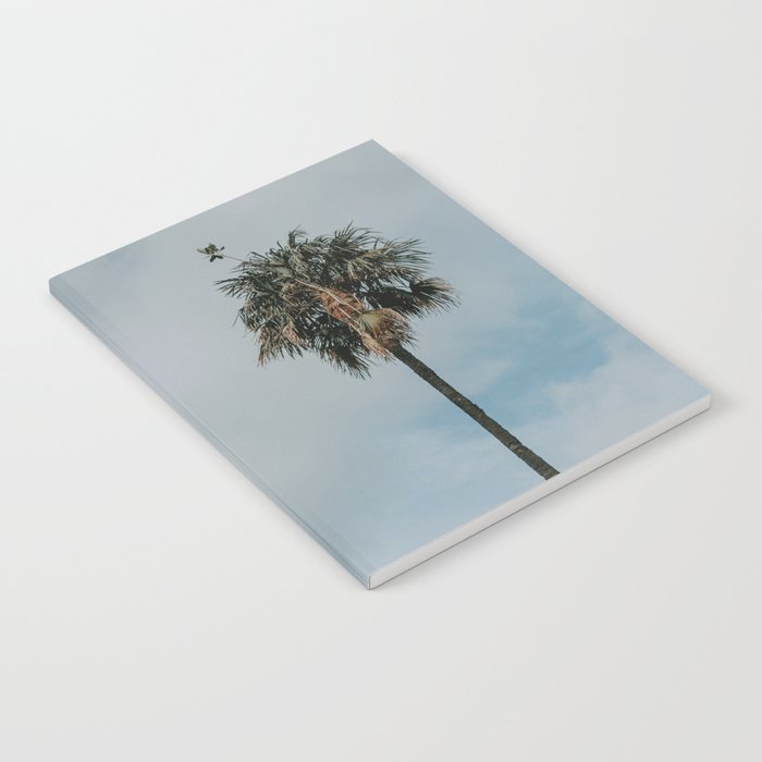 solitary palm. Notebook