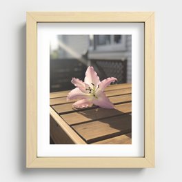 Pink Lilly Recessed Framed Print
