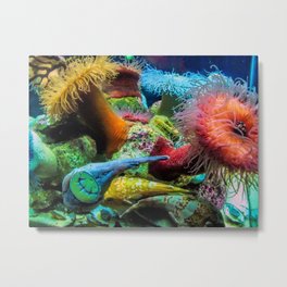 Aquarium Creatures Metal Print