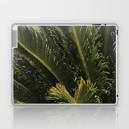 Beguiling Palm Leaves Reaching To The Sky Laptop Skin