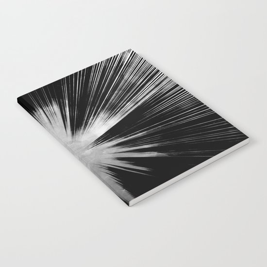 α Cephei Notebook