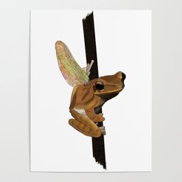 Amphibian Flight (2) Poster