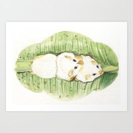 Honduran White Bats Art Print