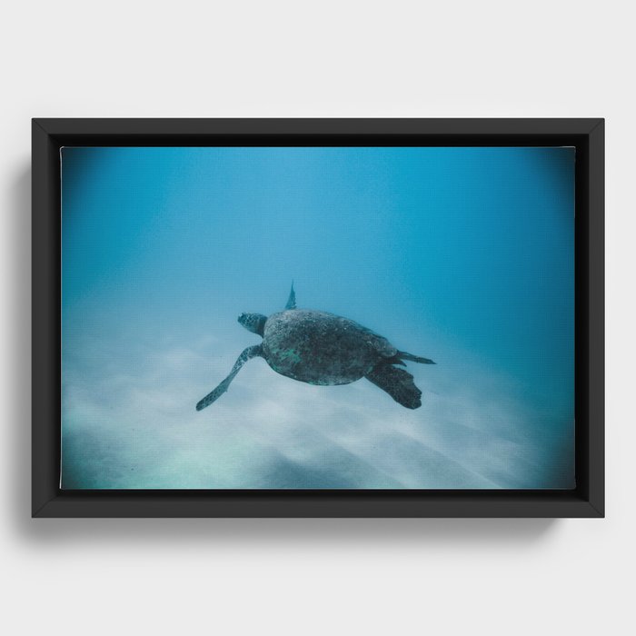 Turtle In The Sea Framed Canvas