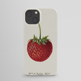 Strawberry (Fragaria) (1891) by Deborah Griscom Passmore. iPhone Case