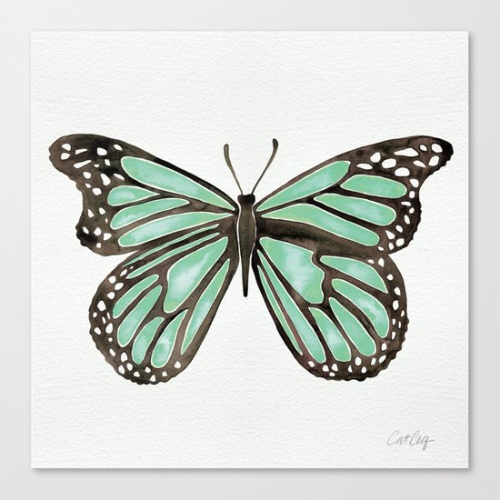Mint Butterfly Canvas Print