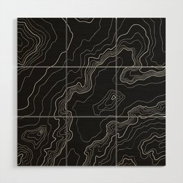 Black & White Topography map Wood Wall Art