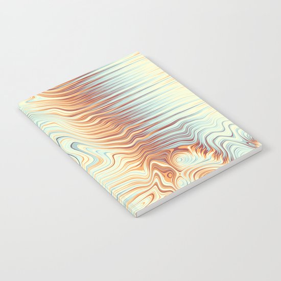 Abstract 358 Notebook