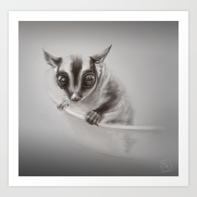 Sugar Glider Art Print By Docpasty Society6